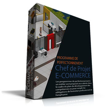 Programme de Perfectionnement chef de projet e-commerce